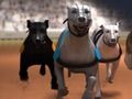 Mchezo Mashindano ya Greyhound online