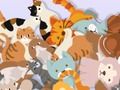 Mchezo Pata Kitty  online