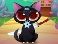 Mchezo Ninja paka online