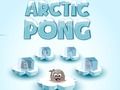 Mchezo Arctic Pong online