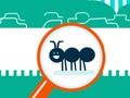 Mchezo Bug Squashy  online
