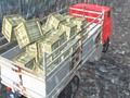 Mchezo Dereva wa lori ya Offroad  online