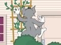 Mchezo Tom und Jerry: Wasserbomben Wahnsinn online