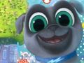 Mchezo Pals ya Mbwa wa Puppy  online