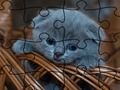 Mchezo Jigsaw Puzzle: Pati  online