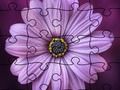 Mchezo Jigsaw puzzle majira ya joto online