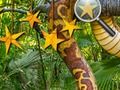 Mchezo Jungle Stars Siri  online