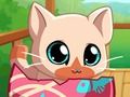 Mchezo Pets yangu Mfukoni Kitty Cat  online