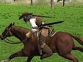Mchezo Simulator inayoendesha farasi online