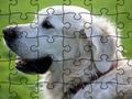 Mchezo Jigsaw Puzzle Wanyama wa Ndani  online