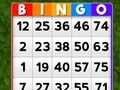 Mchezo Bingo online Mchezo Bingo online