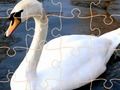 Mchezo Challenge ya Puzzle ya Swan  online
