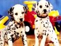 Mchezo Puppy jozi Puzzle  online