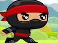 Mchezo Ninja online
