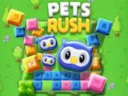 Mchezo Pets kukimbilia  online