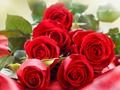 Mchezo Roses Nyekundu  online