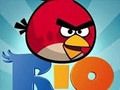 Mchezo Ndege mabaya ya Rio online