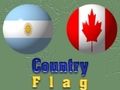 Mchezo Jaribio la Bendera ya watoto  online