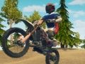 Mchezo Uchafu wa Bike Enduro Mashindano  online
