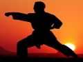 Mchezo Mashujaa wa jua wa Karate  online