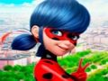 Mchezo Ukusanyaji wa Jigsaw Puzzle ya LadyBug  online