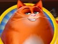 Mchezo Kitty kinyang'anyiro  online