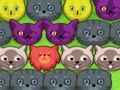 Mchezo Kitties za pop-pop  online
