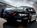 Mchezo Kuchorea Magari ya Polisi  online