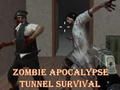 Mchezo Kuokoka kwa Tunnel ya Apocalypse  online