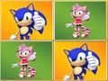 Mchezo Kumbukumbu ya Sonic Inalingana  online