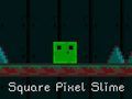 Mchezo Slime ya pixel ya mraba online