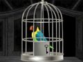 Mchezo Kasuku Escape  online