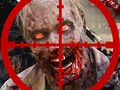 Mchezo Risasi ya Zombie ya Jiji online