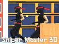 Mchezo Sniper Master 3D online