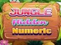 Mchezo Nambari iliyofichwa ya Jungle  online