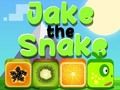 Mchezo Jake nyoka online