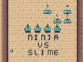 Mchezo Ninja dhidi ya Slime  online