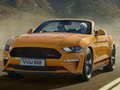 Mchezo Ford Mustang California Slide Maalum online