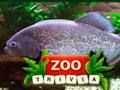 Mchezo Maelezo ya ZOO  online