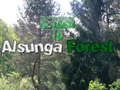 Mchezo Rudi kwenye Msitu wa Alsunga  online