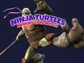 Mchezo Mechi ya Kadi ya Kumbukumbu ya Ninja Turtles  online