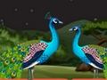 Mchezo Wanandoa Parrot Escape  online