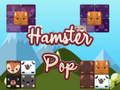 Mchezo Picha ya Hamster  online