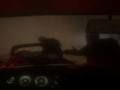 Mchezo Spooky Jungle Safari online