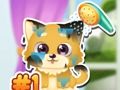 Mchezo Mapenzi Puppy Care  online