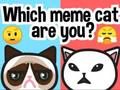 Mchezo Je, wewe ni Paka gani wa Meme?  online