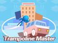 Mchezo Mwalimu wa trampoline  online