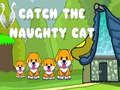 Mchezo Kukamata paka naughty  online