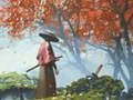 Mchezo Reflexion ya Samurai  online