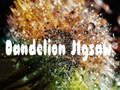 Mchezo Jigsaw ya Dandelion  online